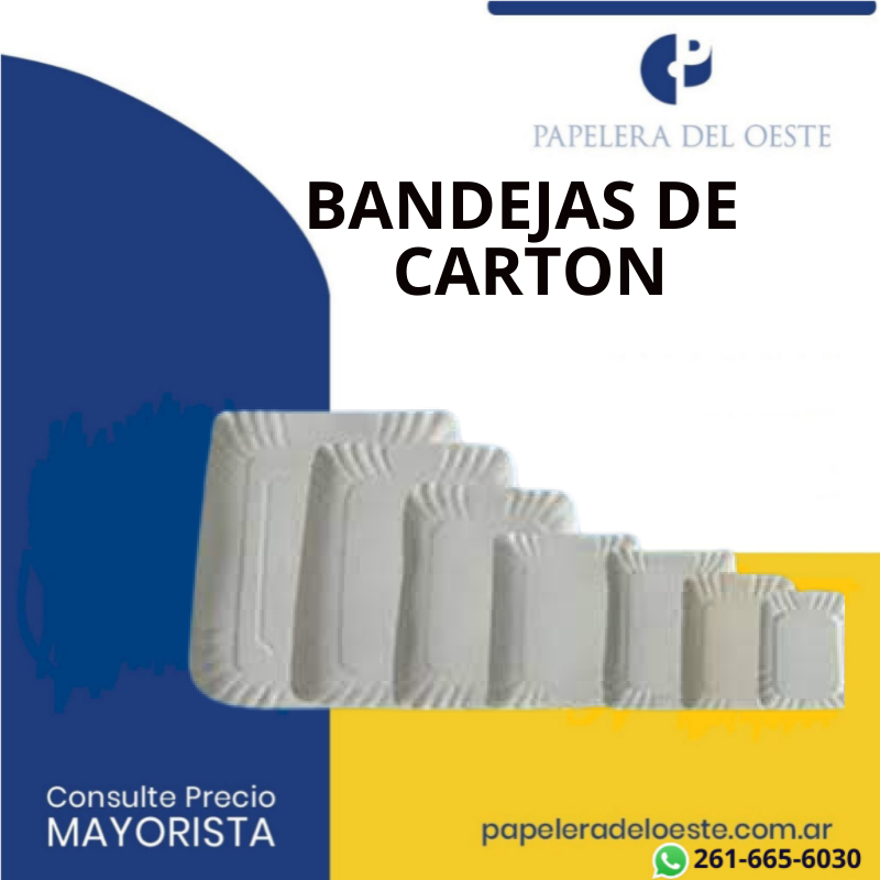 BANDEJAS DE CARTÓN RECTANGULARES N° 2