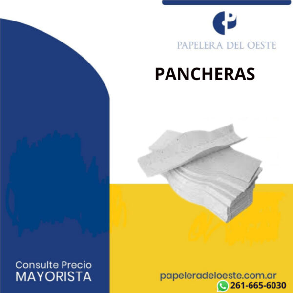 PANCHERAS GRIS X100