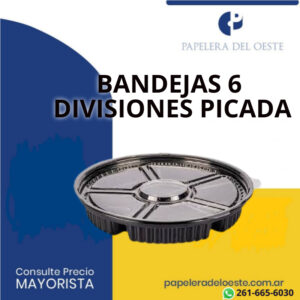 BANDEJA 6 DIVISIONES PICADA C/TAPA X1