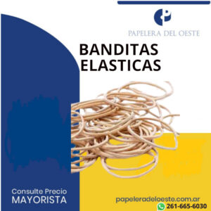BANDITAS ELASTICAS 55GR