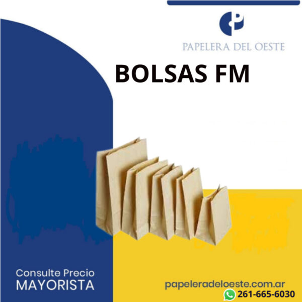 BOLSA DELIVERY FM9 (33 X 15 X 45) X1