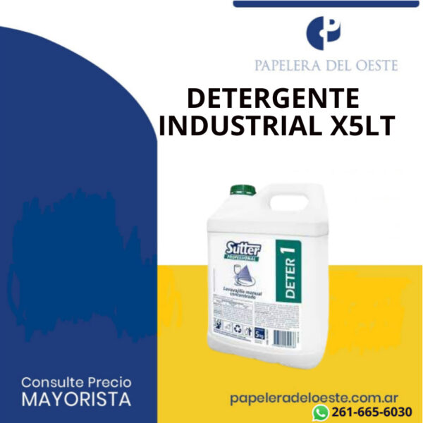 DETERGENTE CONCENTRADO SUTTER X5LTS