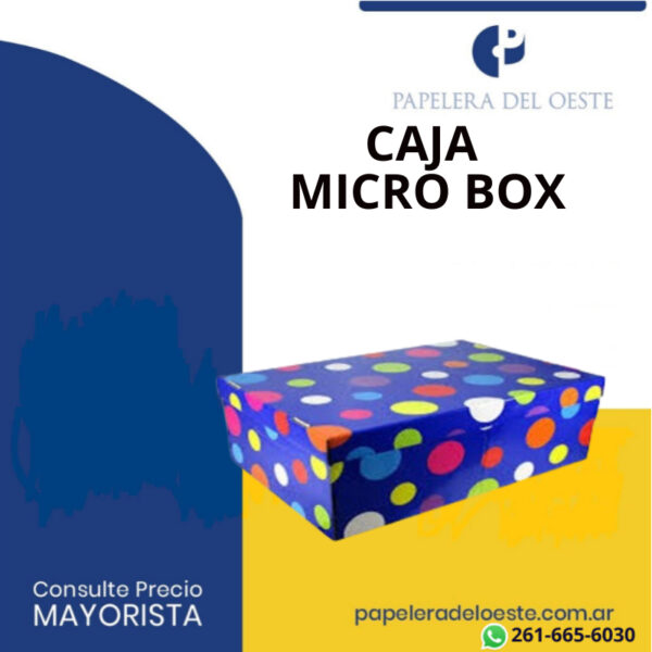 CAJA MICRO BOX CHICA X1