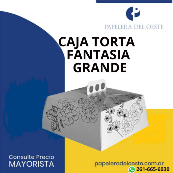CAJA TORTA GRANDE FANTASIA X1